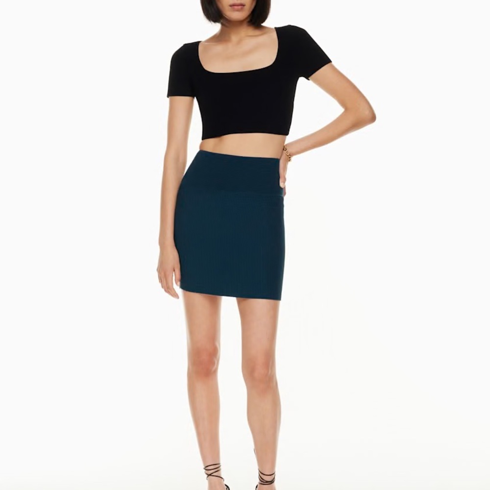 Aritzia Babaton Andres Sculpt Knit Skirt